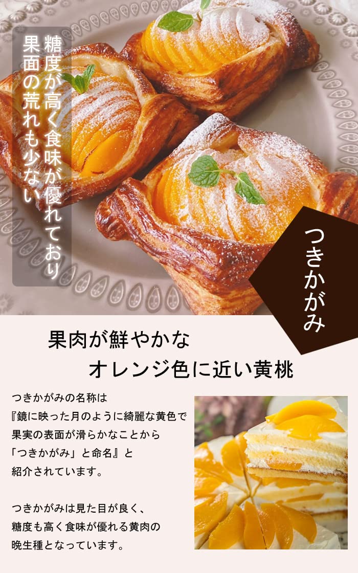 Amazon | 桃 苗 つきかがみ 苗木 果樹 15cmポット 接木 自家結実性